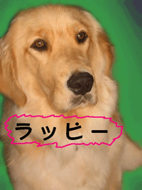 d0094868_10585291.gif