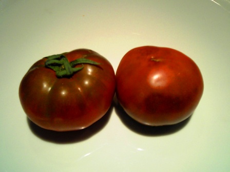 “黒トマトに魅せられた農家”の作る黒トマト・・・。_a0083871_1315067.jpg