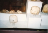 e0003272_05531.jpg