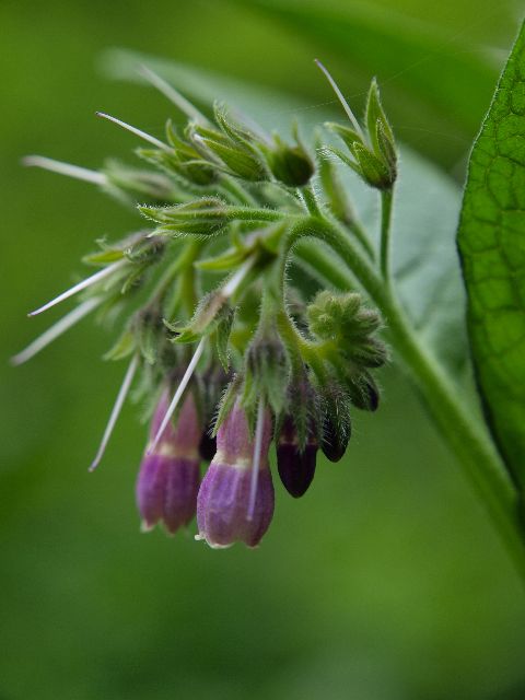 a0025576_2251880.jpg