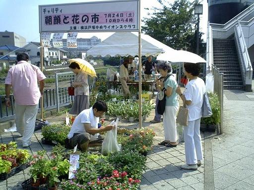 県所有未活用地_e0098078_1051425.jpg