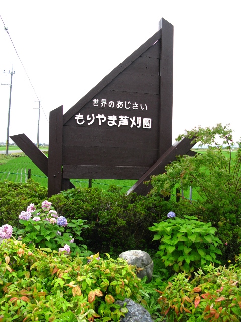 f0085185_55904.jpg