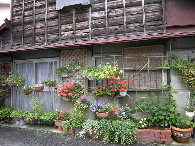 f0063887_2324093.jpg