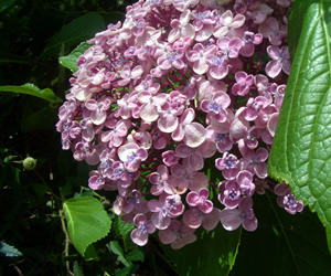 b0067598_22271517.jpg