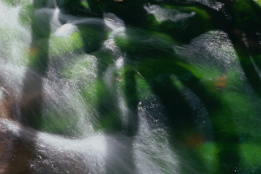 b0137402_6513765.jpg