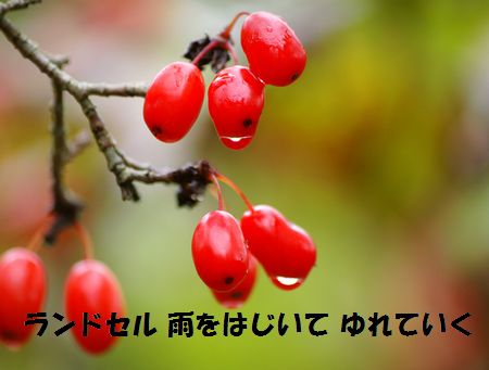 a0043405_8443150.jpg