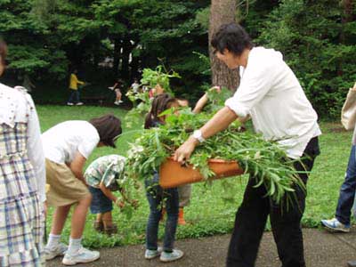 すみればの草たちとあそぼう_b0049307_17362257.jpg