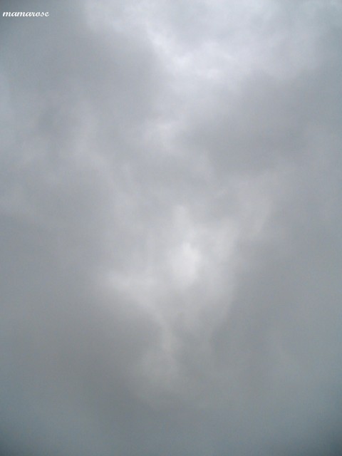 b0118511_92414.jpg