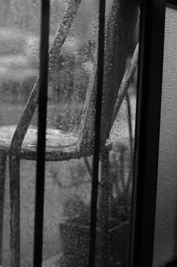 雨とsajilo!_b0140723_275538.jpg