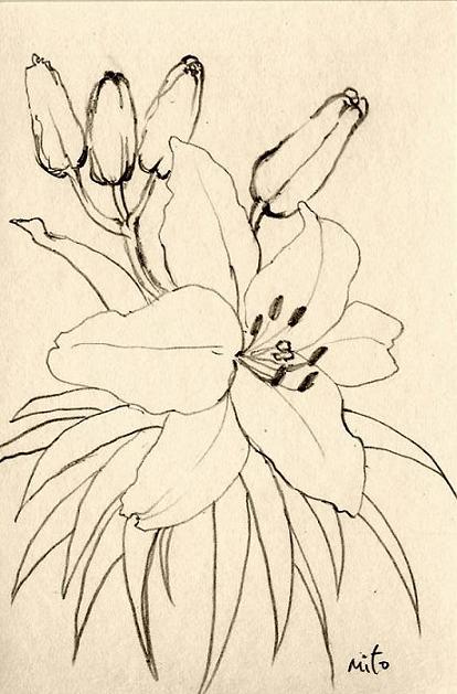 お隣からの百合 F10 油彩 | Yoko's atelier