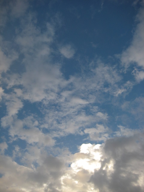 e0106349_153567.jpg