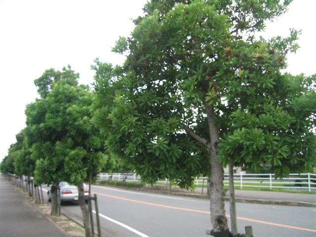 a0027555_11172451.jpg