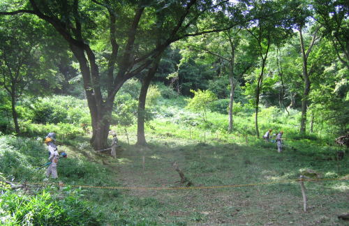 b0129962_21211765.jpg