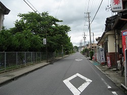 e0041168_1050638.jpg