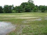 e0041168_11135998.jpg