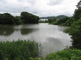 e0041168_11145391.jpg