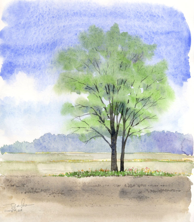 【平尾】樹木を描く_f0176370_1247313.jpg