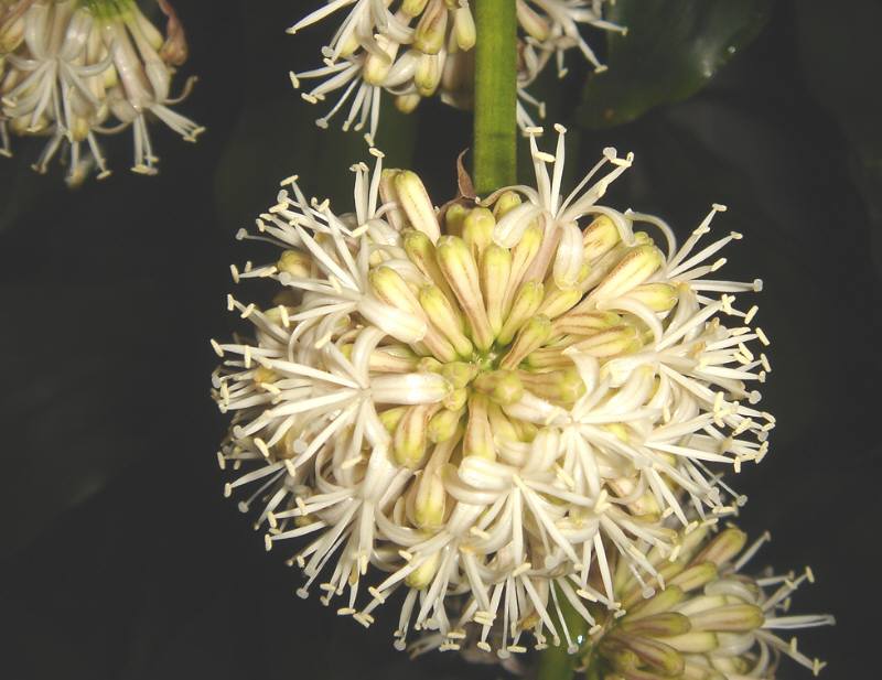 f0059673_20395653.jpg