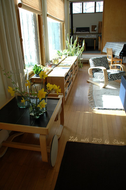 c0036283_23731.jpg