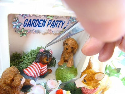 わんちゃんのGARDEN　PARTY♪_e0146584_1725554.jpg