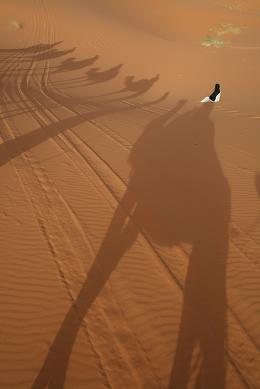 サハラ砂漠（シェビ大砂丘）にて　～らくだの旅～_f0123007_14381112.jpg