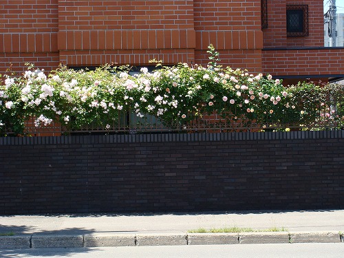 f0170524_1358930.jpg