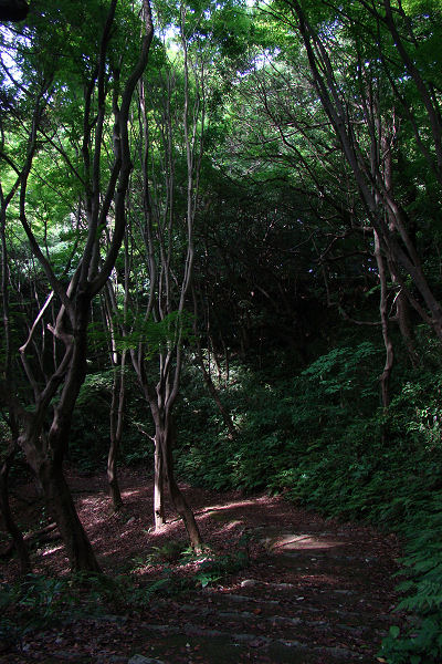 f0007926_110670.jpg