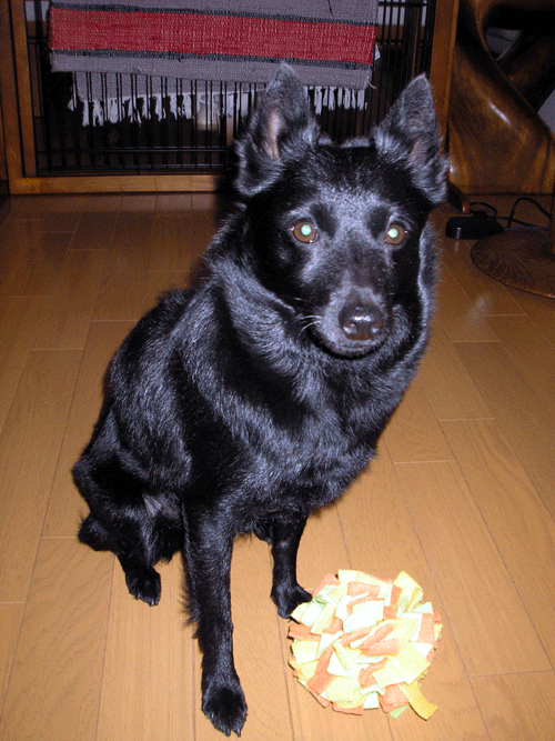 d0049135_1538638.gif