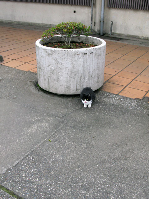 f0031535_23275810.jpg