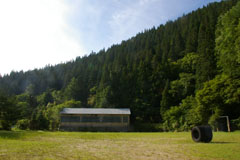 ＊あなたは 花なんだよ_a0030038_16532791.jpg