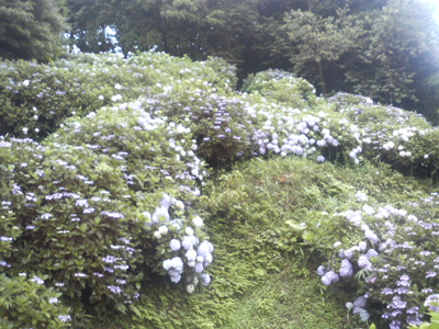 e0110940_22161623.jpg
