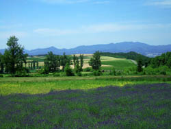 c0097856_11867.jpg