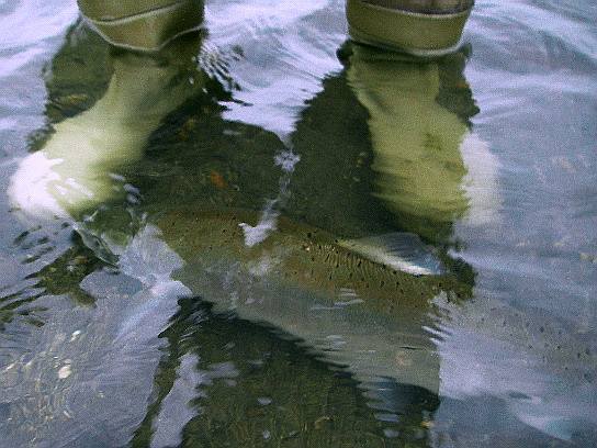 f0084561_15544415.jpg
