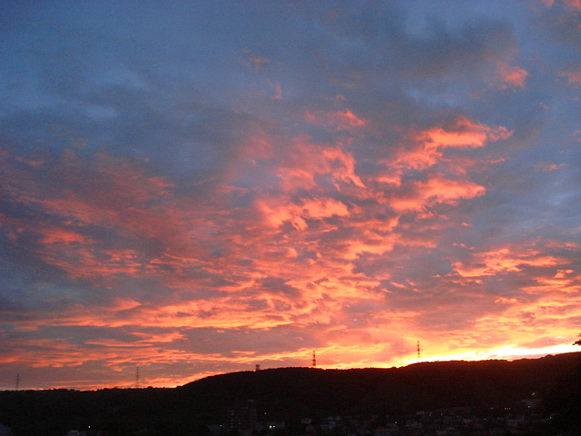 f0132565_8574489.jpg