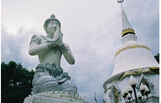e0113675_9229.jpg