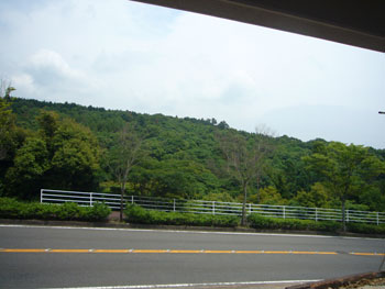 f0138401_1526515.jpg