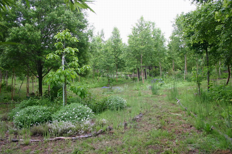 d0143719_16452599.jpg