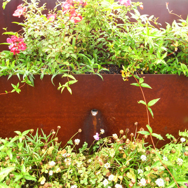 f0003829_9491623.jpg
