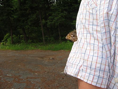 さあ、夏の感謝ディ!エクシーガに乗り来ないか。_f0076731_23344866.jpg