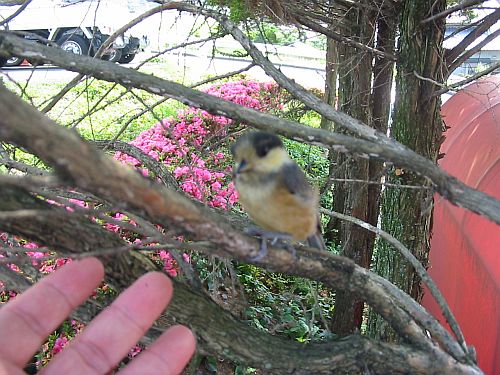 さあ、夏の感謝ディ!エクシーガに乗り来ないか。_f0076731_23355373.jpg