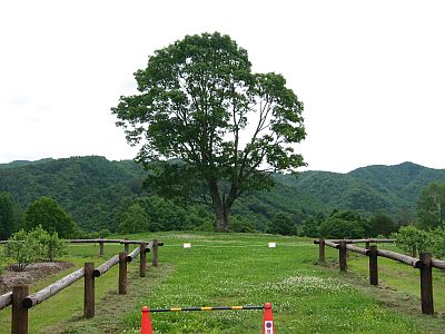 さあ、夏の感謝ディ!エクシーガに乗り来ないか。_f0076731_23393437.jpg