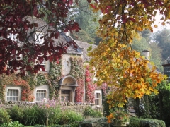 f0166749_21223948.jpg