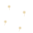 f0168760_22575854.gif