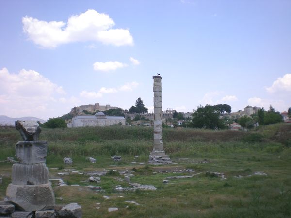 6月26日(木)トルコ旅行③エフェソス~パムッカレ_f0060461_20235612.jpg
