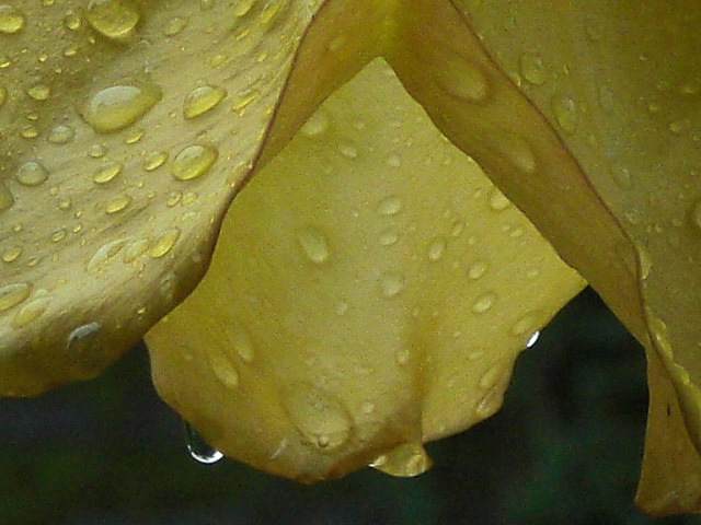 b0149867_22542336.jpg