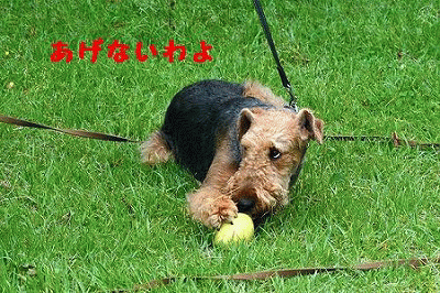 a0035678_14254555.gif