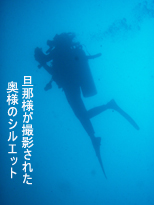 ☆キングクルーザー方面3ダイブ☆_f0144385_23335673.jpg