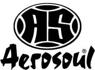 AEROSOUL TEE入荷_b0051108_2192088.jpg