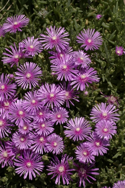 c0156908_081981.jpg