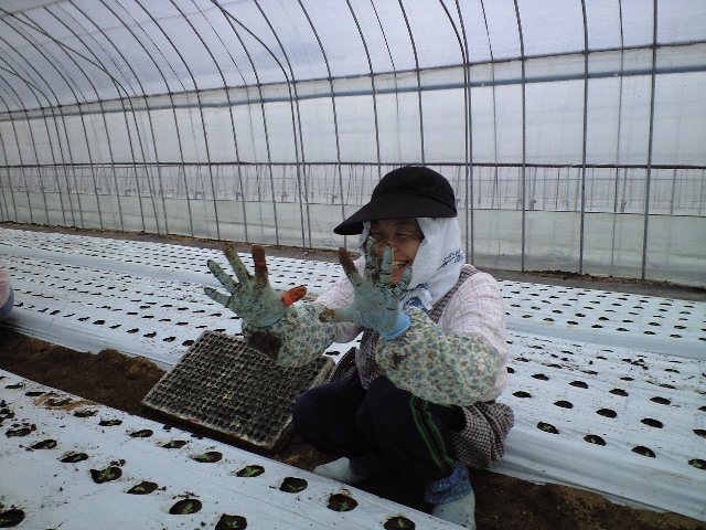 産地見学会を終えて_d0099708_0195814.jpg